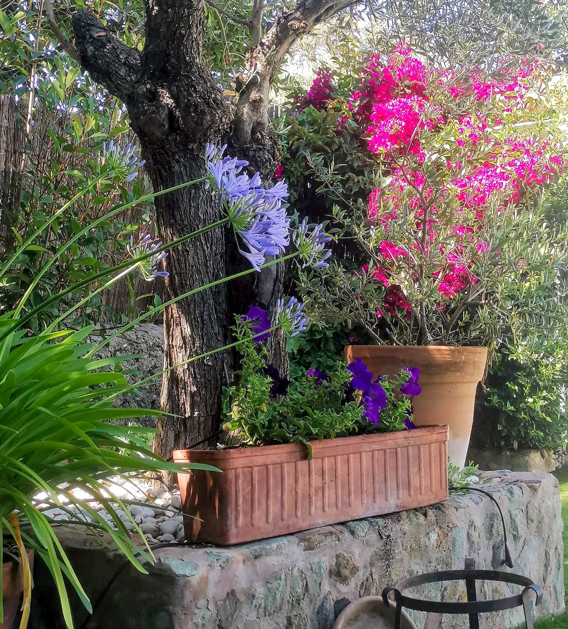 Alojamiento rural en Aracena
